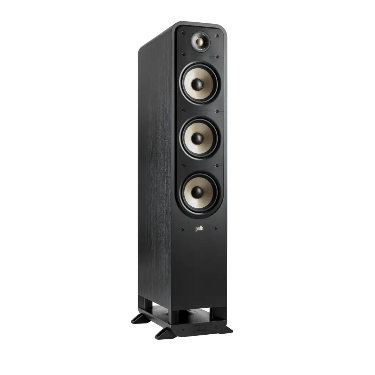 Polk ES60