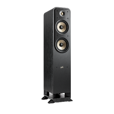 Polk ES55