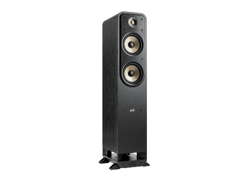 Polk ES55